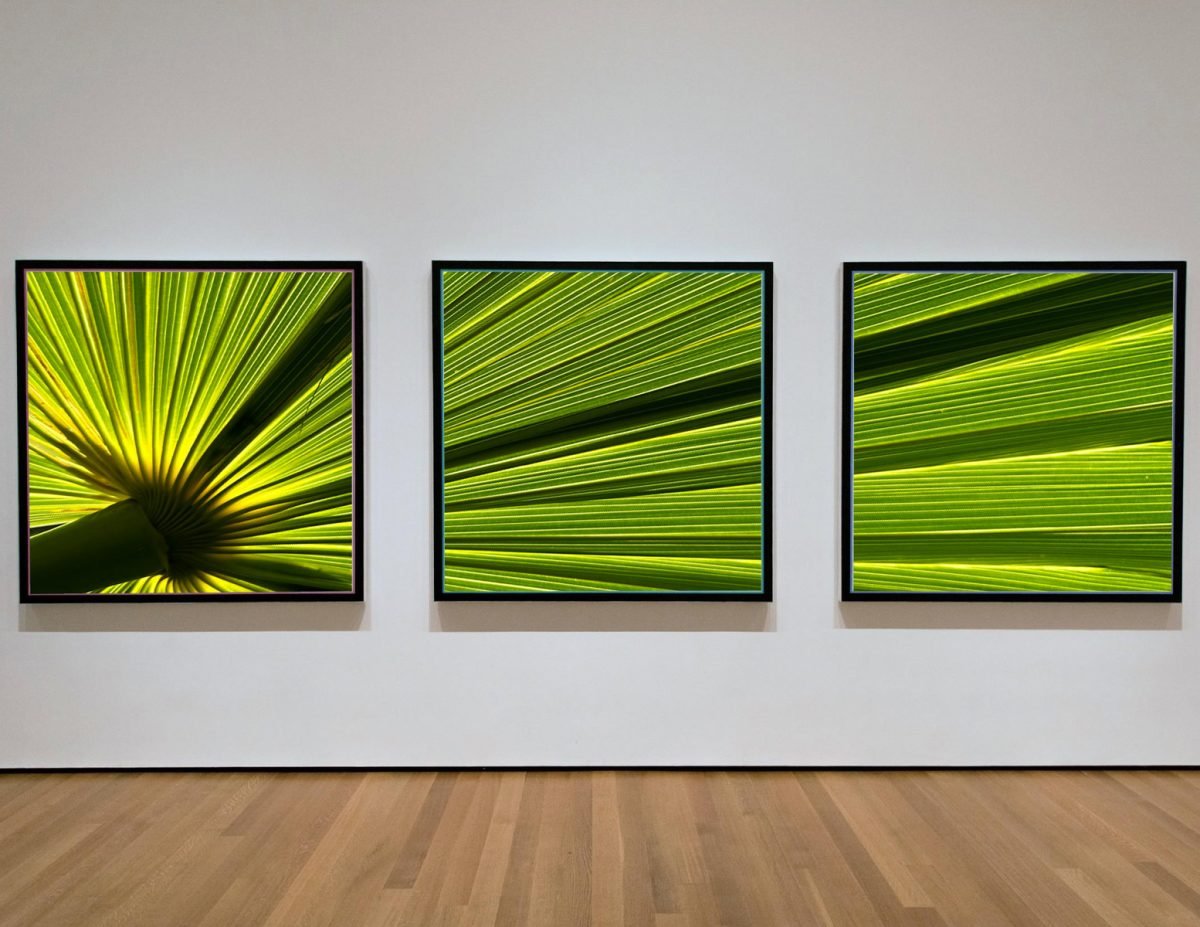 Three modern picture frames with the same photo in a gallery setting
